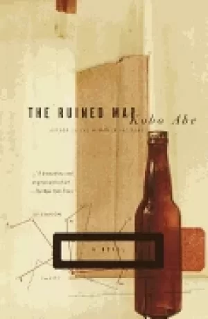 Image of ruined map a novel