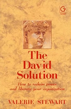 Image of The David Solution by Valerie Stewart Hardback