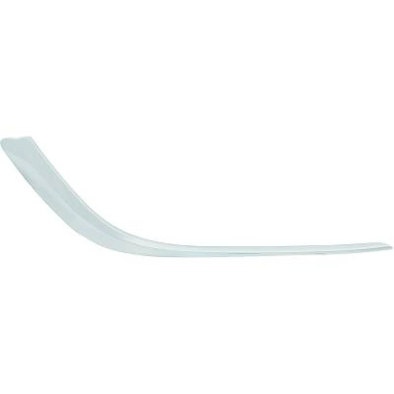 Image of Bumper moulding DIEDERICHS 1807162