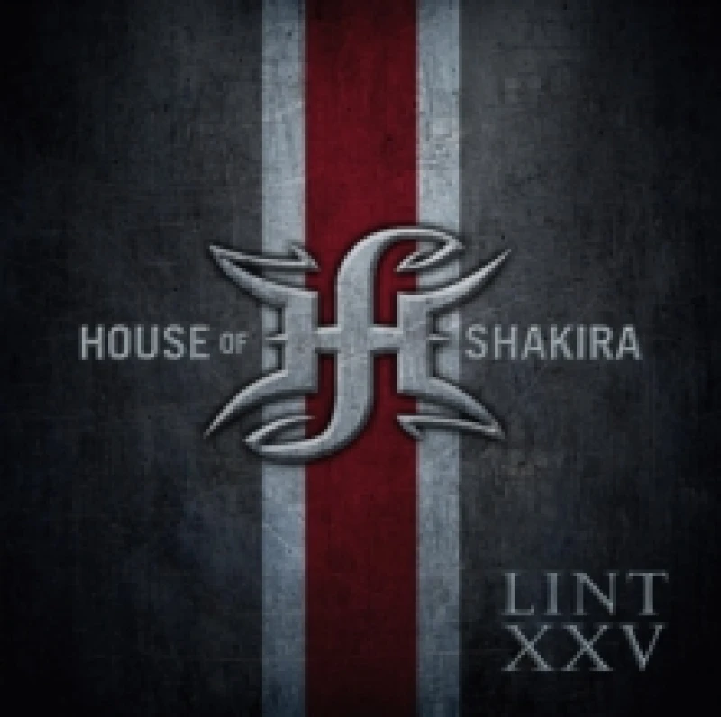 Image of Lint XXV (25th Anniversary Edition) CD / Album