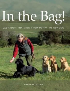 Image of In the bag by Margaret Allen