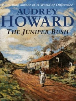 Image of The Juniper Bush by Audrey Howard Paperback