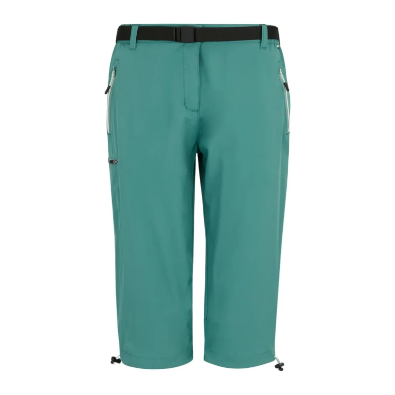 Image of Womens shorts Regatta Xert Stretch Vert Female 44