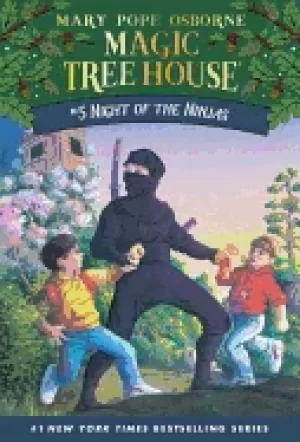 Image of night of the ninjas