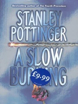Image of A Slow Burning by Stanley Pottinger Hardback