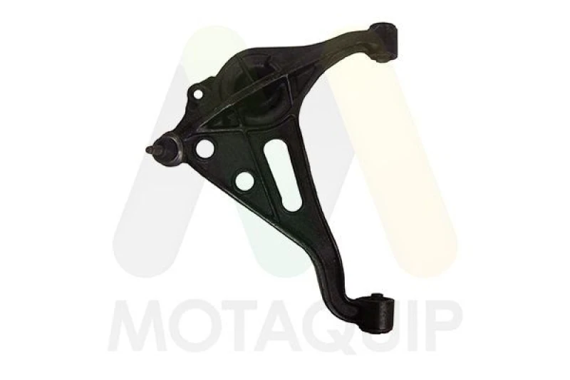 Image of MOTAQUIP Suspension arm MOTAQUIP LVSA1789