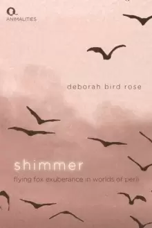 Image of Shimmer : Flying Fox Exuberance in Worlds of Peril