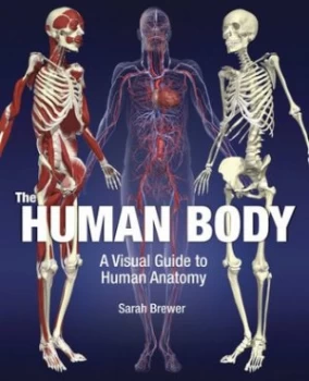 Image of The Human Body by Dr Sarah Brewer Hardback