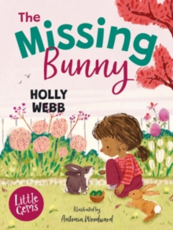 Image of The Missing Bunny Paperback / softback