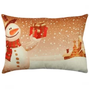 Image of A50935 Multicolor Cushion