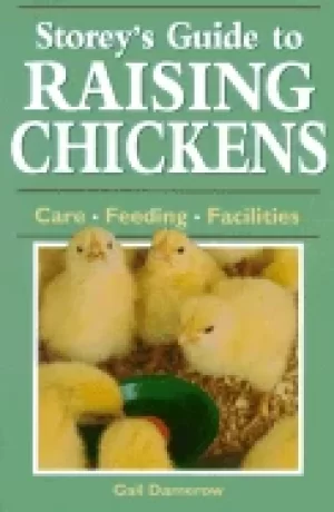 Image of storeys guide to raising chickens care feeding facilities