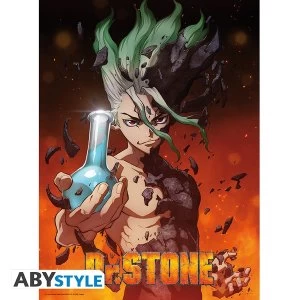 Image of Dr Stone - Senku Poster