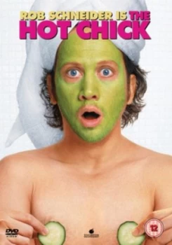 Image of The Hot Chick DVD