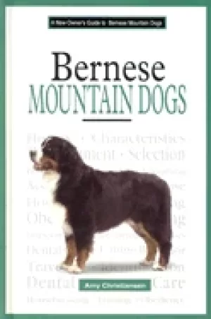 Image of new owners guide to bernese mountain dogs
