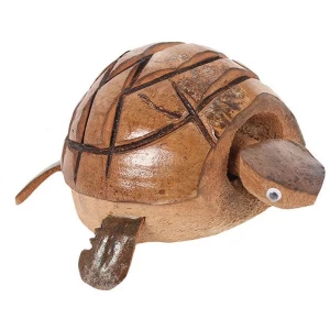 Image of Nodding Turtle