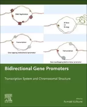 Image of Bidirectional Gene Promoters by Fumiaki Uchiumi