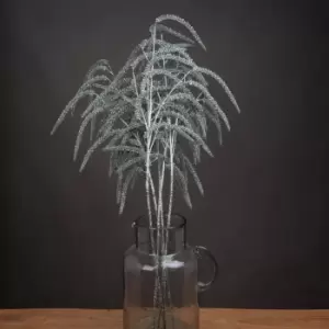 Image of Festive Amaranthus