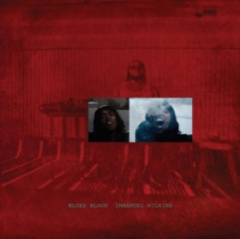 Image of Blues Blood Vinyl