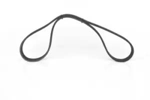 Image of Bosch V-ribbed belt PORSCHE 1 987 946 214 7L5903137,7PP903137,95510225100 99919238150