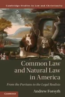 Image of Common Law and Natural Law in America : From the Puritans to the Legal Realists