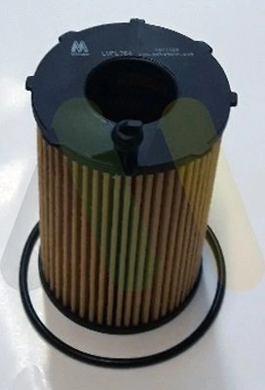 Image of MOTAQUIP Oil filter MOTAQUIP LVFL764