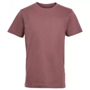 Image of SOLS Childrens/Kids Short-Sleeved T-Shirt (10 Years) (Ancient Pink)