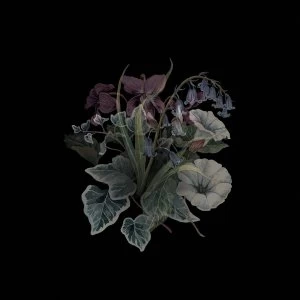 Image of Nhor - Wildflowers Green Vinyl