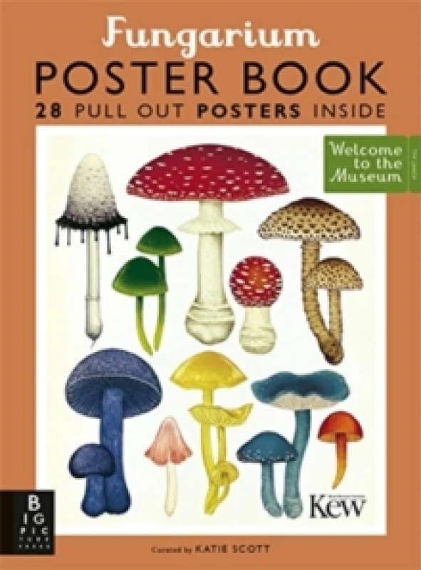 Image of Ester Gaya Fungarium Poster Book Multi unisex