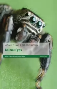 Image of Animal Eyes