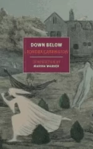 Image of down below