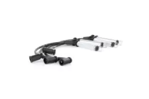 Image of Bosch Ignition Lead Set 0 986 357 807 Ignition Cable Set,Ignition Wire Set FORD,Fiesta Mk5 Schragheck (JH1, JD1, JH3, JD3),FOCUS (DAW, DBW),KA (RB_)