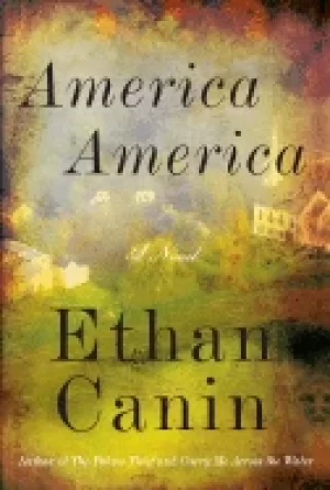 Image of america america a novel