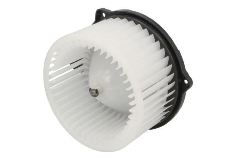 Image of THERMOTEC Blower motor THERMOTEC DD0301TT