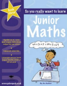 Image of So You Really Want to Learn Junior Maths. Book 3 by David Hillard Paperback