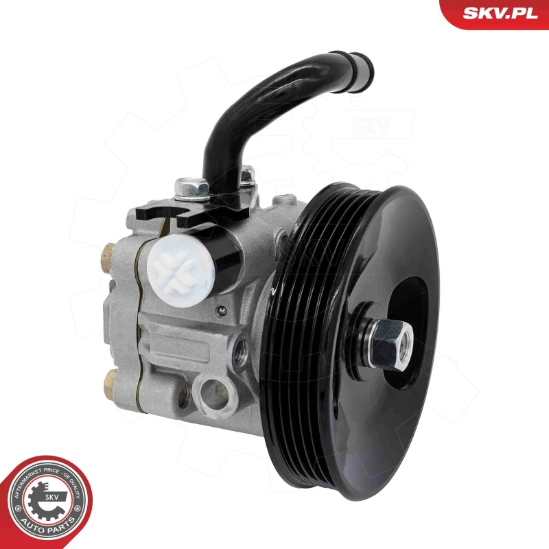 Image of ESEN SKV Power steering pump ESEN SKV 10SKV513