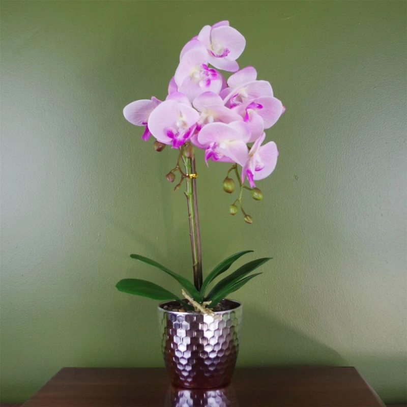 Image of Leaf 50cm Phalaenopsis Orchid Artificial - Light Pink Silver Pink