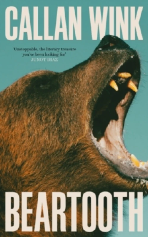 Image of Beartooth Hardback