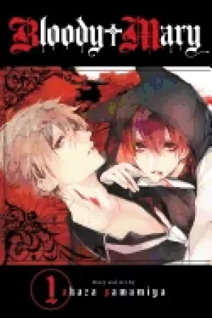 Image of bloody mary vol 1