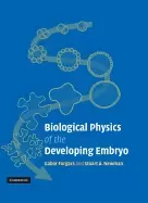 Image of biological physics of the developing embryo