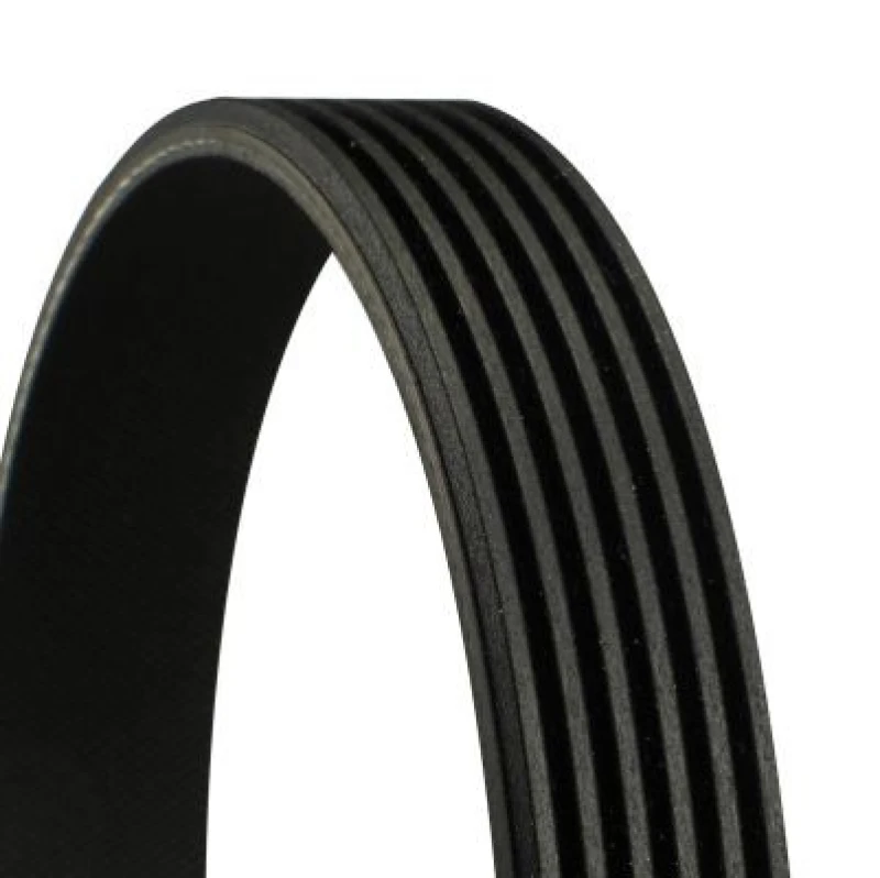 Image of CONTITECH 6PK900 V-ribbed belt V-Ribbed Belts (305)