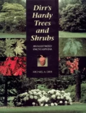 Image of dirrs hardy trees and shrubs an illustrated encyclopedia