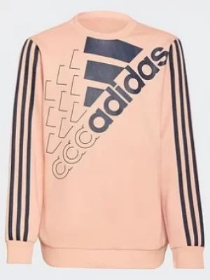 Image of adidas Essentials Logo Sweatshirt (gender Neutral), Pink/Blue, Size 11-12 Years