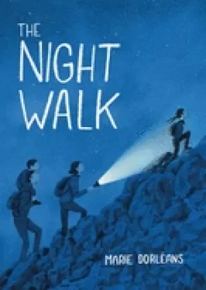 Image of night walk