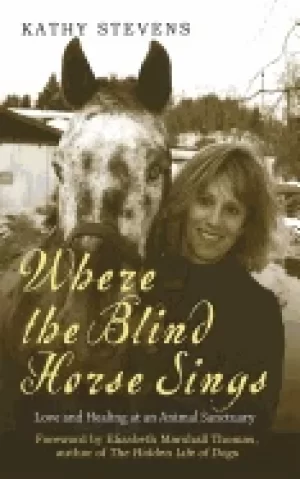 Image of where the blind horse sings love and healing at an animal sanctuary