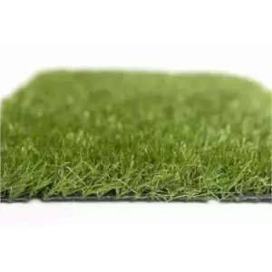 Image of No Mow Super Pet Grass 2m Wide x 10m Long Garden & Outdoor