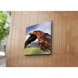Image of 4545NAT-16 Multicolor Decorative Canvas Painting