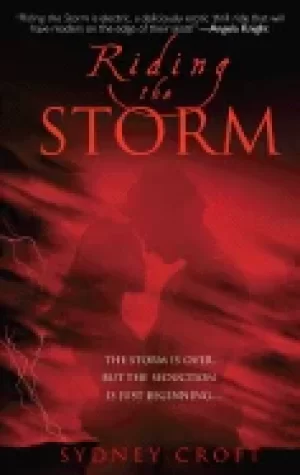 Image of riding the storm