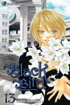 Image of Black Bird. Volume 13 by Kanoko Sakurakoji Paperback