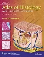 Image of difiores atlas of histology with functional correlations atlas of histology