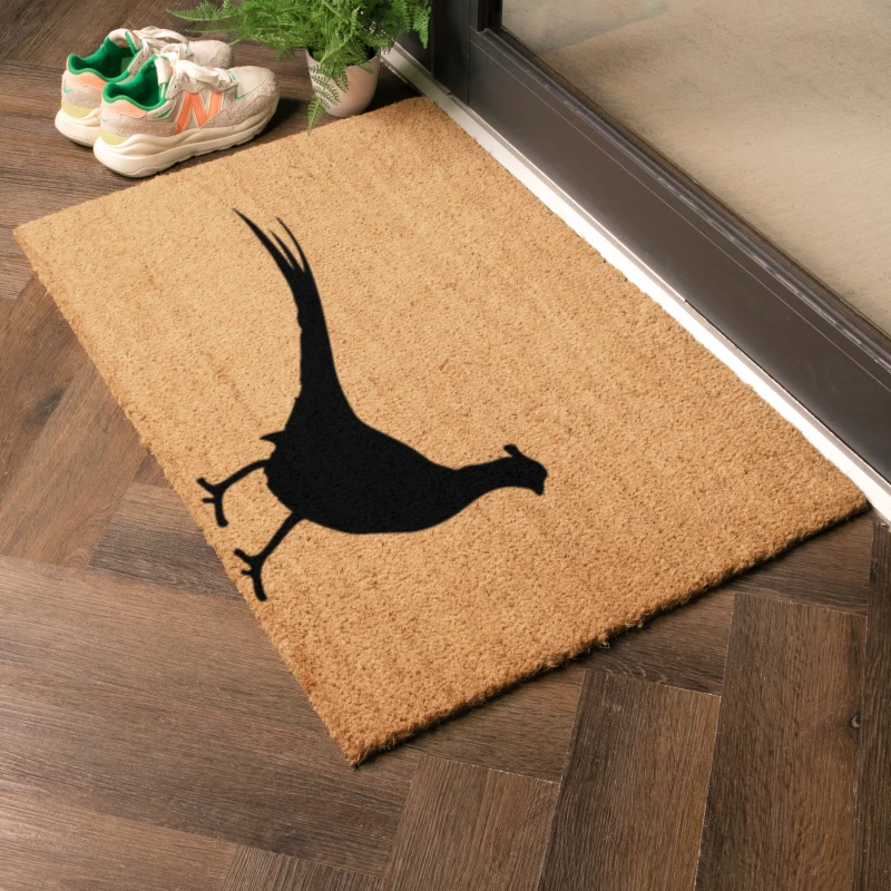 Image of Artsy Mats Country Home Pheasant Extra Large Grey Doormat Beige unisex